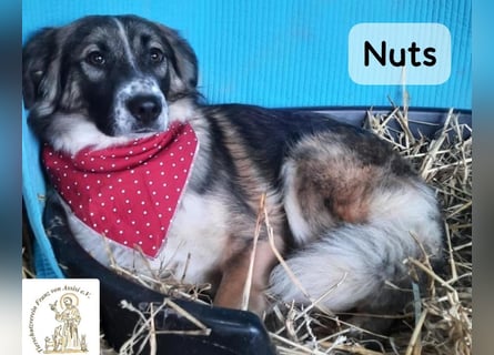Nuts – leise beginnen, gemeinsam stärker werden!
