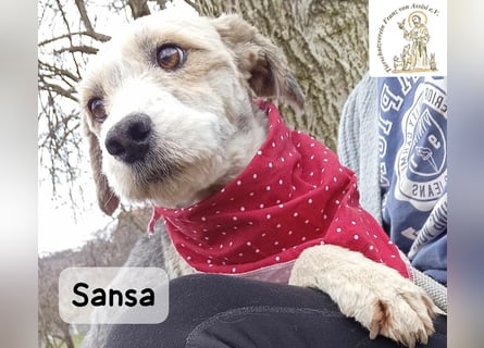 Sansa – der Neuanfang steht ihr einfach gut!