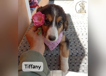 Tiffany – Man ist nie zu klein, um für jemanden die ganze Welt zu sein!
