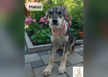 Malou – kleine Entdeckerin mit feinem Gespür!