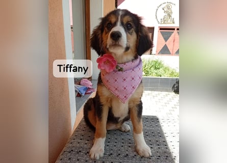 Tiffany – Man ist nie zu klein, um für jemanden die ganze Welt zu sein!