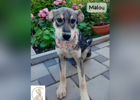 Malou – kleine Entdeckerin mit feinem Gespür!