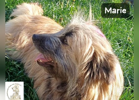 Marie – zu süß für diese Welt, aber kein bisschen aus Zucker!