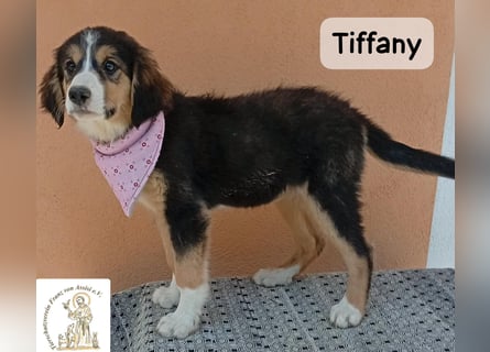 Tiffany – Man ist nie zu klein, um für jemanden die ganze Welt zu sein!