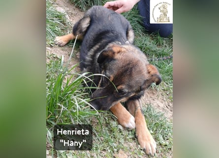 Hany – neugierig, frech und unwiderstehlich!
