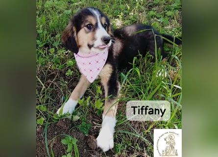 Tiffany – Man ist nie zu klein, um für jemanden die ganze Welt zu sein!
