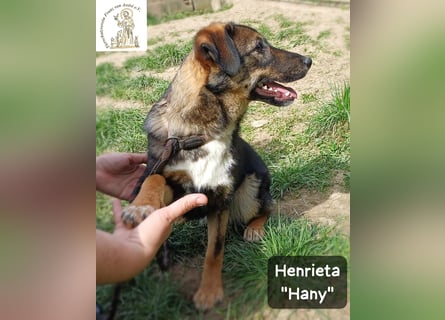 Hany – neugierig, frech und unwiderstehlich!