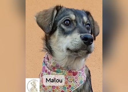 Malou – kleine Entdeckerin mit feinem Gespür!