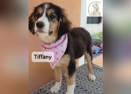 Tiffany – Man ist nie zu klein, um für jemanden die ganze Welt zu sein!