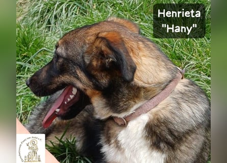 Hany – neugierig, frech und unwiderstehlich!
