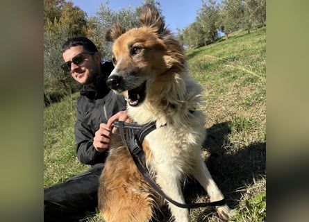 Leon - wunderbarer älterer Bub möchte dringend in sein eigenes Zuhause