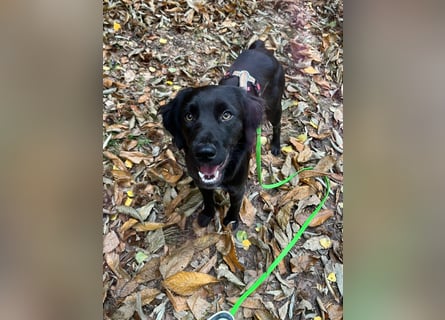 Fredi auf der Suche auf einer Endstelle