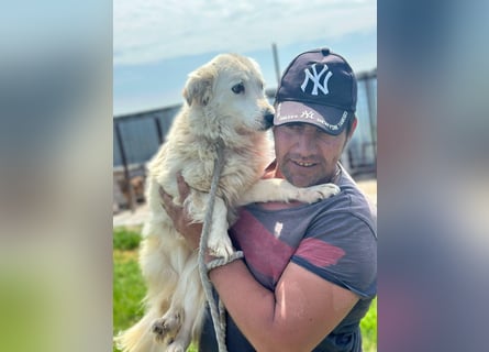 MIA – Mama, Kämpferin, Kuschelhund 