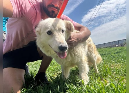 MIA – Mama, Kämpferin, Kuschelhund 
