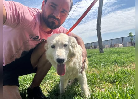 MIA – Mama, Kämpferin, Kuschelhund 