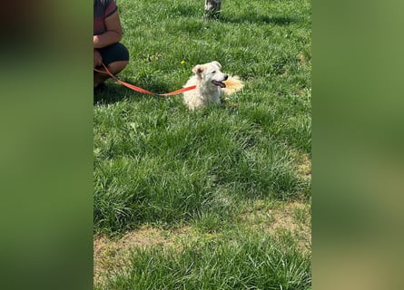 MIA – Mama, Kämpferin, Kuschelhund 