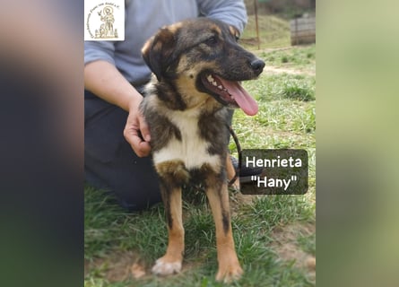 Hany – neugierig, frech und unwiderstehlich!