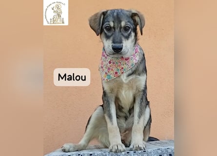 Malou – kleine Entdeckerin mit feinem Gespür!