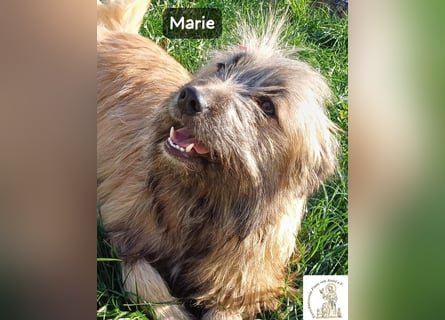 Marie – zu süß für diese Welt, aber kein bisschen aus Zucker!