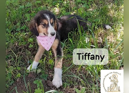Tiffany – Man ist nie zu klein, um für jemanden die ganze Welt zu sein!