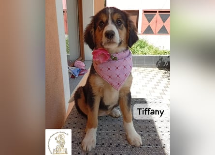 Tiffany – Man ist nie zu klein, um für jemanden die ganze Welt zu sein!