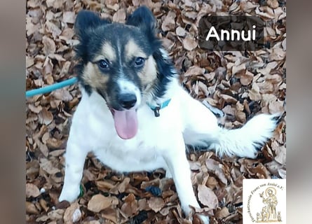 Annui – einmal gesehen, für immer im Kopf!
