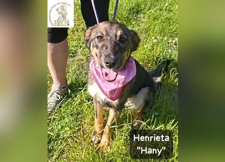 Hany – neugierig, frech und unwiderstehlich!