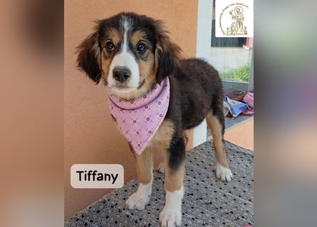 Tiffany – Man ist nie zu klein, um für jemanden die ganze Welt zu sein!