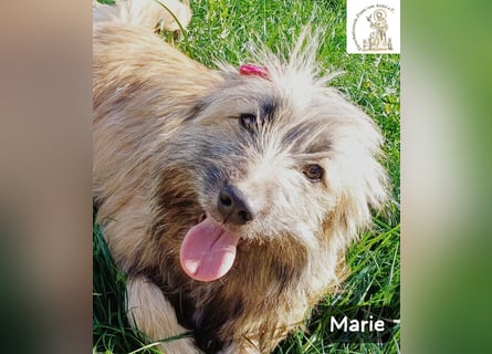 Marie – zu süß für diese Welt, aber kein bisschen aus Zucker!