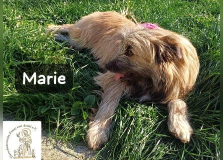 Marie – zu süß für diese Welt, aber kein bisschen aus Zucker!