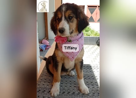 Tiffany – Man ist nie zu klein, um für jemanden die ganze Welt zu sein!