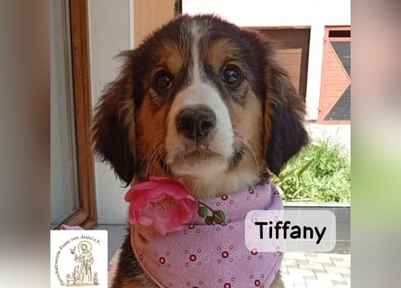 Tiffany – Man ist nie zu klein, um für jemanden die ganze Welt zu sein!