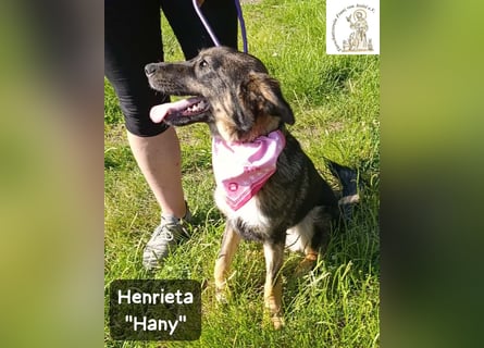 Hany – neugierig, frech und unwiderstehlich!