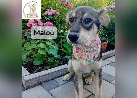 Malou – kleine Entdeckerin mit feinem Gespür!