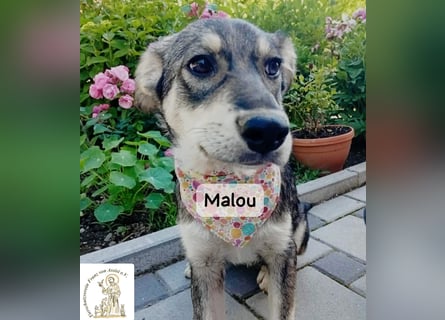 Malou – kleine Entdeckerin mit feinem Gespür!