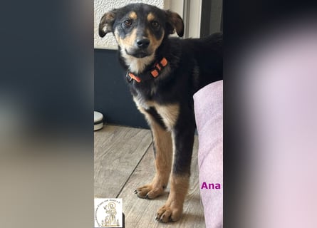 Ana – junges Mädchen, große Pläne!