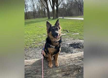 Engel Talih sucht dringend seine neue Familie