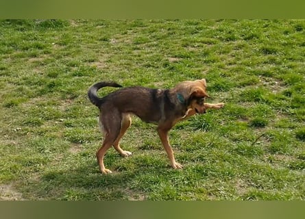 KINUSHI soll endlich entgültig ankommen