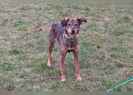 KINUSHI soll endlich entgültig ankommen