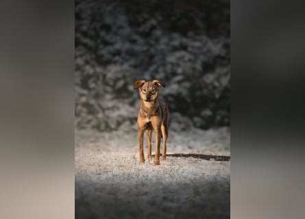 KINUSHI soll endlich entgültig ankommen