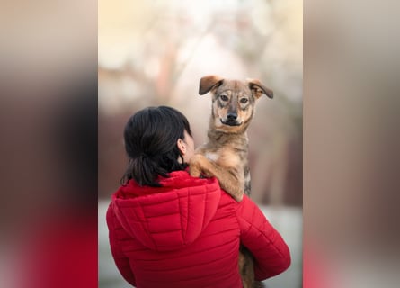 KINUSHI soll endlich entgültig ankommen