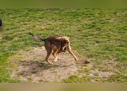 KINUSHI soll endlich entgültig ankommen
