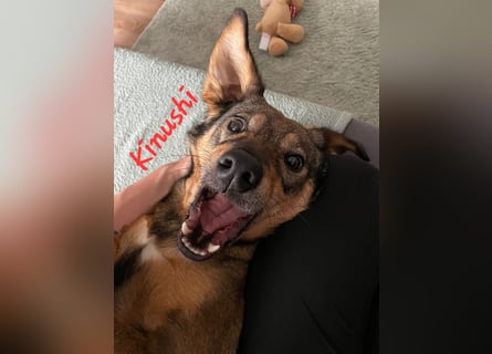 KINUSHI soll endlich entgültig ankommen