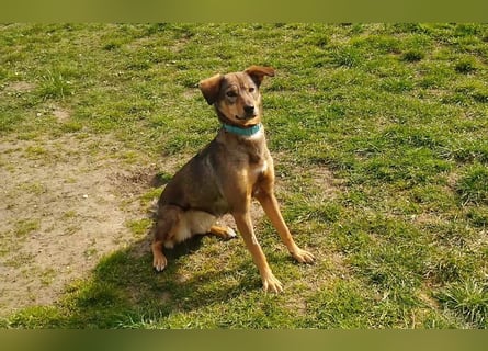 KINUSHI soll endlich entgültig ankommen