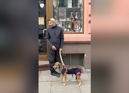 KINUSHI soll endlich entgültig ankommen