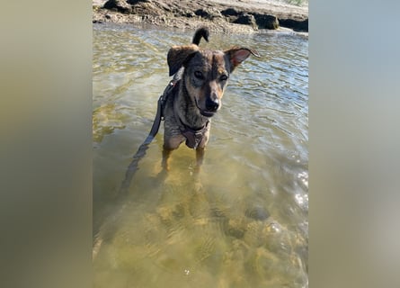 KINUSHI soll endlich entgültig ankommen