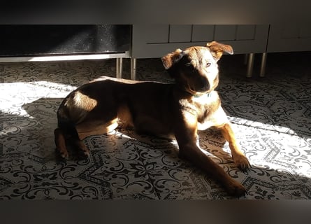 KINUSHI soll endlich entgültig ankommen