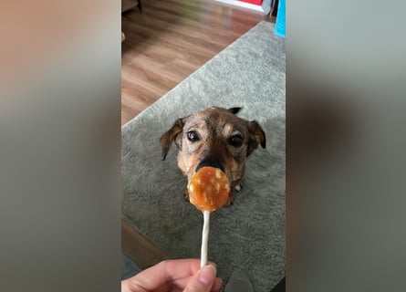 KINUSHI soll endlich entgültig ankommen