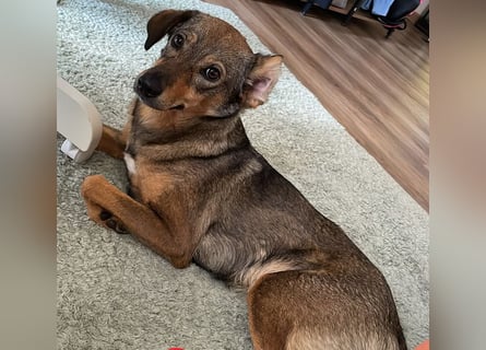 KINUSHI soll endlich entgültig ankommen