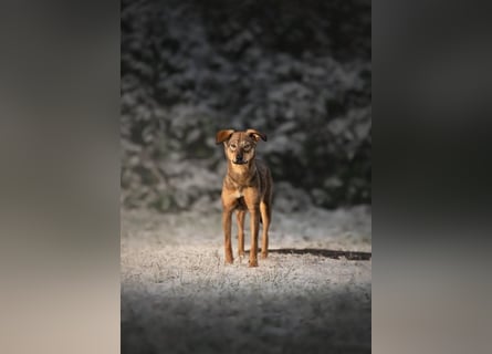 KINUSHI soll endlich entgültig ankommen